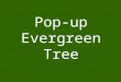 Pop-up Evergreen Tree. Designed by Robert Sabuda
