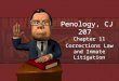Penology, CJ 207 Chapter 11 Corrections Law and Inmate Litigation Chapter 11 Corrections Law and Inmate Litigation 1