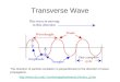 Transverse Wave The direction of particle oscillation is perpendicular to the direction of wave propagation. jvarrian/applets/waves1/lontra_g.htm