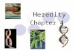 Heredity Chapter 4. Standard: S7L3 Students will recognize how biological traits are passed on to successive generations.  a. Explain the role of genes