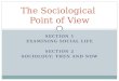 SECTION 1 EXAMINING SOCIAL LIFE SECTION 2 SOCIOLOGY: THEN AND NOW The Sociological Point of View