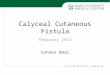 Calyceal Cutaneous Fistula Connor Deal February 2013