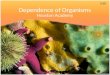 Dependence of Organisms Houston Academy 5.9B. Ecosystem An ecosystem is an area where living things interact with nonliving things and each other. Living