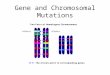 Gene and Chromosomal Mutations. What is a mutation? Mutations are changes made to an organism’s genetic material. These changes may be due to errors in