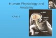 Human Physiology and Anatomy Chap 1. Anatomy and Physiology Anatomy = Structure (form) Physiology = Function "All specific functions are performed by