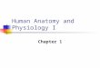 Human Anatomy and Physiology I Chapter 1. Cramming is a sure path to failure ! Read ahead Attend class and pay attention!! Review within 24 hours Study