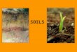 SOILS Great civilizations began because of farming... good soil and fresh water is needed for farming Ancient Egyptian and Mesopotamian societies are