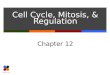 Cell Cycle, Mitosis, & Regulation Chapter 12. Slide 2 of 36 Genome