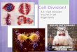 Cell Division! 3.1: Cell division occurs in all organisms