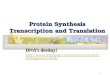 1 Protein Synthesis Transcription and Translation DNA’s destiny!  rlifeandgenetics/dna/ 