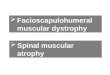 Facioscapulohumeral muscular dystrophy  Spinal muscular atrophy