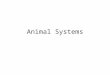 Animal Systems. Tissues A collection of similar cells that perform a particular function