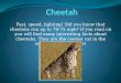 Fast, speed, lighting! Did you know that cheetahs run up to 70-75 mph? If you read on you will find many interesting facts about cheetahs. They are the