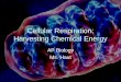 Cellular Respiration: Harvesting Chemical Energy AP Biology Ms. Haut