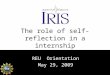 The role of self-reflection in a internship REU Orientation May 29, 2009