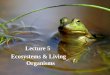 Lecture 4 Ecosystems & Living Organisms Lecture 5 Ecosystems & Living Organisms