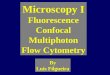 Microscopy I Fluorescence Confocal Multiphoton Flow Cytometry By Luis Filgueira