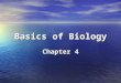 Basics of Biology Chapter 4. 2 Developing Shark Embryo