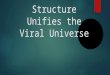 Structure Unifies the Viral Universe. Objectives…  describe the current status of structural work  highlighting its power to infer common ancestry