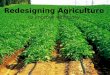 Redesigning Agriculture to improve efficiency Olivia Cox CPSP218L Sec. 0201
