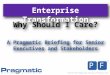 A Pragmatic Briefing for Senior Executives and Stakeholders Enterprise Transformation Why Should I Care?