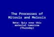 The Processes of Mitosis and Meiosis Note: Quiz over this material tomorrow (Thursday)