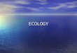 ECOLOGY. Ecology – the scientific study of interactions among organisms and between organisms and their environment