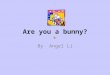 Are you a bunny? By Angel Li Appearance If you are a rabbit, you are black, brown, white, and mixture. A rabbit is about 24 inches and can weigh 12 lbs