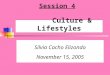 Session 4 Culture & Lifestyles Silvia Cacho Elizondo November 15, 2005