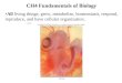 CH4 Fundamentals of Biology All living things; grow, metabolize, homeostasis, respond, reproduce, and have cellular organization