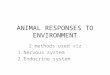 ANIMAL RESPONSES TO ENVIRONMENT 2 methods used viz 1.Nervous system 2.Endocrine system