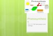 Photosynthesis Ch. 2.1 Cell processes and energy