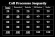 Cell Processes Jeopardy Energy & Enzymes PhotosynthesisRespirationCell MembraneRandom 20 40 60 80 100