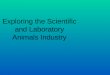 Exploring the Scientific and Laboratory Animals Industry