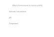 Effect of environment on enzyme activity Substrate concentration pH Temperature
