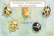 Evolution of Populations Microevolution Chapter 23