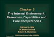 Transparency 3-1 Chapter 3 The Internal Environment: Resources, Capabilities and Core Competencies The Internal Environment: Resources, Capabilities and