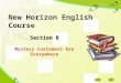 Section B Section B Mystery Customers Are Everywhere New Horizon English Course