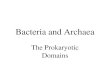 Bacteria and Archaea The Prokaryotic Domains. Prokaryotic Complexity Figure 4.5