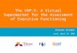 The VAP-S: A Virtual Supermarket for the Assessment of Executive Functioning Évelyne Klinger Laval, April 10, 2008