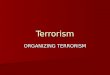 Terrorism ORGANIZING TERRORISM. CAUSES, STRATEGY, TACTICS I. CAUSES OF TERRORISM a.Psycho-Social b.Rational-Material II. FTO ORGANIZATION III. STRATEGY