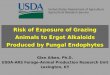Risk of Exposure of Grazing Animals to Ergot Alkaloids Produced by Fungal Endophytes Glen Aiken, Ph.D. USDA-ARS Forage-Animal Production Research Unit