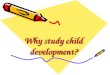 Why study child development?. Why Study Child Development?