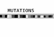 MUTATIONS. The alteration of an organism’s DNA Wide range of mutations Most mutations are automatically repaired by the organism’s enzymes… …therefore