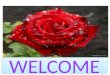 WELCOME. PRESENTED BY JOYDEV BISWAS ASSISTANT TEACHER MIRJAPUR GOVERNMENT PRIMARY SCHOOL DUMURIA, KHULNA. JOYDEV BISWAS ASSISTANT TEACHER MIRJAPUR GOVERNMENT
