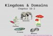 Kingdoms & Domains Chapter 18-3 