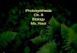 Photosynthesis Ch. 8 Biology Ms. Haut. 8-1 Energy and Life Copyright Pearson Prentice Hall