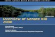 Overview of Senate Bill 2080 Ernie Barnett Director, Legislative Affairs Robert M. Brown Director, Environmental Resource Regulation Department Ernie Barnett