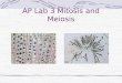 AP Lab 3 Mitosis and Meiosis. Review: Mitosis and the cell cycle Phases G1, S, G2 Parts of microscope and troubleshooting!