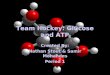 Team Hockey: Glucose and ATP Created By: Nathan Stout & Samir Mohandes Period 1